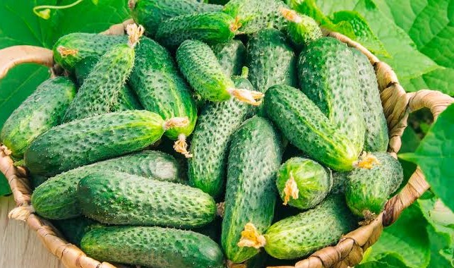 Як приготувати огірки пікулі з французькою гірчицею на 3 кг